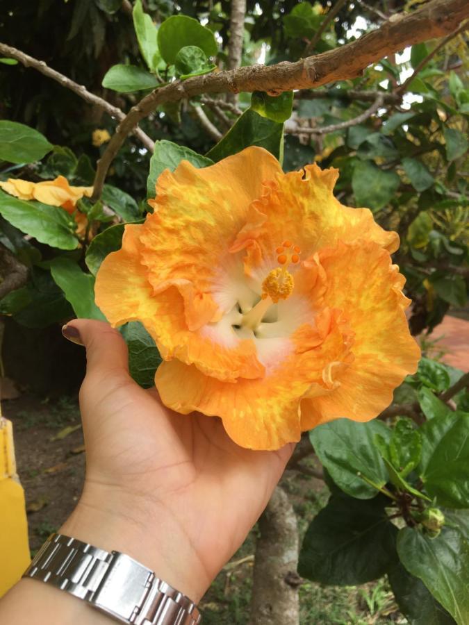 Pousada Bella Geriba Buzios Exteriör bild